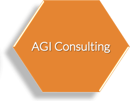 agi consulting